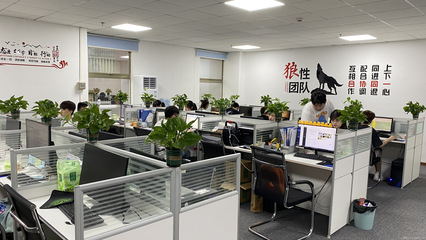 廣州星照信息咨詢 專業(yè)信息咨詢服務的引領者